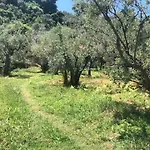 Seaside Eleni וילה